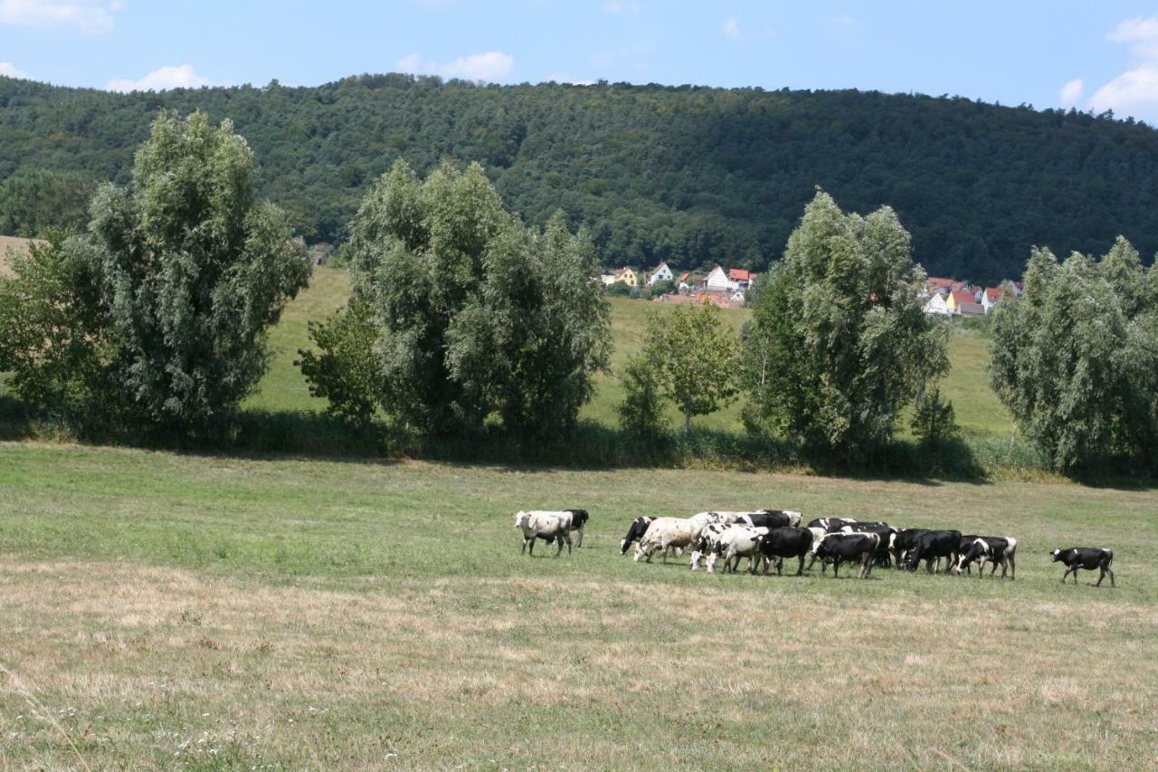 La Ferme De Georges Apt 1 A 6 Pers Bischholtz Εξωτερικό φωτογραφία